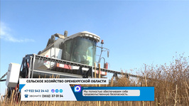 Аграрный сезон в Оренбуржье: итоги, переработка, задачи. «Лицом к людям» от 28 сентября 2026