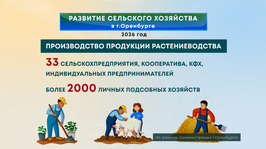 Сельское хозяйство. «Оренбург в цифрах» от 20 октября 2026