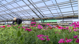 «Город и горожане» от 17 апреля 2026