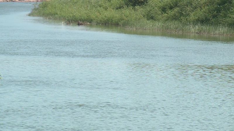 Соль илецк утонули. Собака и соль. Соль-илецк курорт 2024. Соленые озера соль-илецк. Соль илецк утонули.